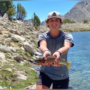 Meet your Posher, Carter